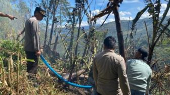 Bakar Sampah Sembarangan, Lahan Kosong di Tolikara Terbakar