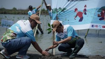 Pertamina Laksanakan Penanaman Mangrove di Pesisir Karawang