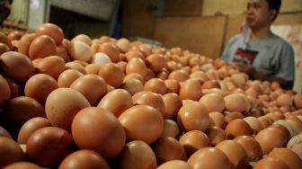 Harga Telur Ayam di Palembang Masih Tinggi, Pembeli: Padahal Lebaran Sudah Lama