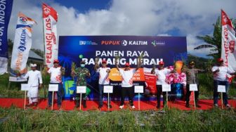 Panen Raya NPK Pelangi JOS, Produksi Bawang Merah Kintamani Naik hingga 41 Persen