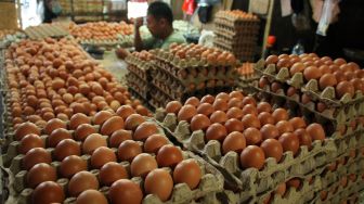 Ini Biang Kerok Mahalnya Harga Telur Ayam Versi Mendag Zulhas
