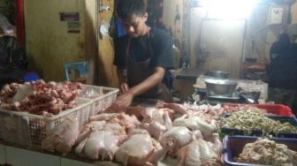 Hore, Harga Daging Ayam Di Pasar Singaparna Turun