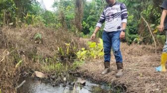 Limbah Perusahaan Sawit PT Mitra Ogan Diduga Cemari Kebun Warga