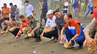 Empat Kali Peringati Hari Konservasi Alam Nasional, Pertamina Lepas Liar Total 813 Ekor Penyu di Pantai Sodong Cilacap