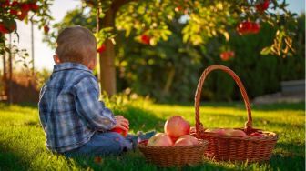 4 Buah yang Baik untuk Bayi, Aman dan Tentunya Bergizi