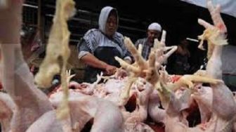 Sabtu 3 September 2022 : Daging Ayam di Tuban Naik, Ikan Segar Stabil