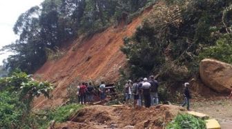 Pohon Tumbang Timpa Truk di Area Longsor Sitinjau Lauik, Arus Lalu Lintas Ditutup Sementara