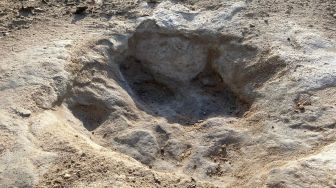 Penampakan lintasan jejak kaki dinosaurus yang ditemukan di Dinosaur Valley State Park, Negara Bagian Texas, Amerika Serikat, Selasa (23/8/2022). [Handout / Dinosaur Valley State Park / AFP]