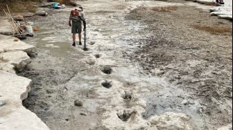 Penampakan lintasan jejak kaki dinosaurus yang ditemukan di Dinosaur Valley State Park, Negara Bagian Texas, Amerika Serikat, Selasa (23/8/2022). [Handout / Dinosaur Valley State Park / AFP]