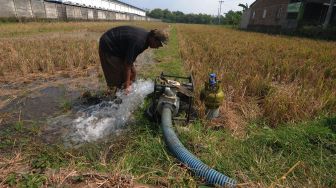 
Petani menggunakan pompa air dengan bahan bakar gas elpiji di Bulurejo, Juwiring, Klaten, Jawa Tengah, Selasa (6/9/2022).  ANTARA FOTO/Aloysius Jarot Nugroho
