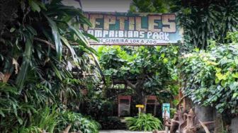 Objek Wisata Gembira Loka Zoo Yogyakarta