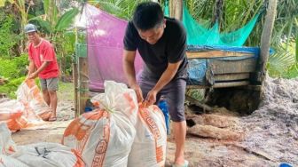 Pakai Ampas Sagu Untuk Pakan Ikan, ASN di Luwu Utara Mengaku Ikan Peliharaan Cepat Besar