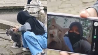 Iseng Ajak Kucing Selfie, Hasilnya Bikin Warganet Ngakak