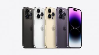 Layar iPhone 14 Pro Muncul Garis Hijau dan Kuning saat Dinyalakan