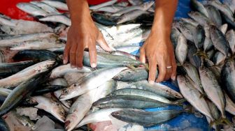 Nelayan Natuna Khawatir Kenaikan Harga BBM: Biaya Operasional Lebih Besar dari Tangkapan