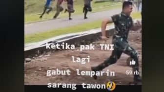 Kocak! Anggota TNI Lari Terbirit-birit Saat Dikejar Tawon, Bikin Warganet Ngakak: Umur Segitu Sedang Lucu-lucunya