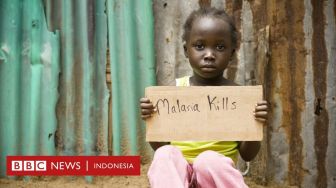 Ilmuwan Universitas Oxford: Vaksin Malaria Baru Mengubah Dunia