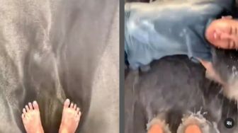 Niat Bikin Video Estetik di Pantai, Warganet Panik Ketemu Hal Ini