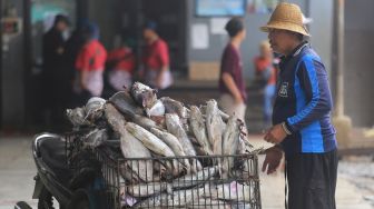 Sejumlah Nelayan asal Bengkalis Ditahan Angkatan Laut Malaysia
