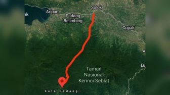 Wacana Jalur Alternatif Padang-Solok via Lubuk Minturun Muncul Lagi, BKSDA Menolak: Sumbar Landscape Harimau Sumatera