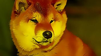Bilakah Harga Shiba Inu (SHIB) Jadi US$1?