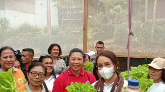 Sukses Panen Kedua, Kube Horeb Bakal Tambah Jenis Sayur Hidroponik