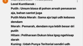 Muncul Unggahan Soal Jenis-jenis Kuntilanak, Penjelasannya Picu Warganet Berkomentar Ngocol