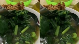 Minta Sayur Banyak, Penampakan Mi Ayam Pembeli Ini Bikin Ngakak