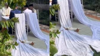 Gara-gara Kucing Tidur, Momen Akad Nikah Ini Gagal Estetik