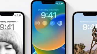 Cara Menggunakan Fitur Safety Check di iPhone