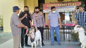 Beraksi Sendirian, Petugas Koperasi Ini Sikat Kambing di 18 Lokasi di Gunungkidul