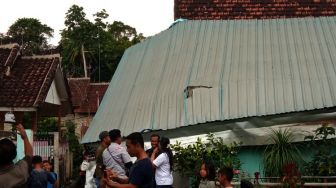 Ngerinya Puting Beliung di Tampo Banyuwangi, 13 Rumah Warga Rusak