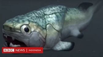 Jantung Tertua di Dunia Ditemukan di Dalam Fosil Ikan Prasejarah