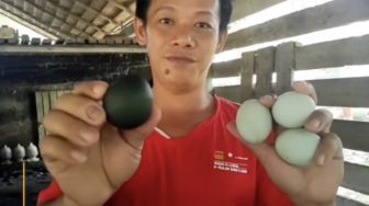 Viral! Warga Mempawah Dibikin Geger Dengan Temuan Telur Bebek Bercangkang Hitam