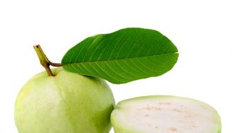 Pernah Minum Teh Daun Jambu Biji? Ini Lho 4 Manfaat Jika Dikonsumsi Rutin