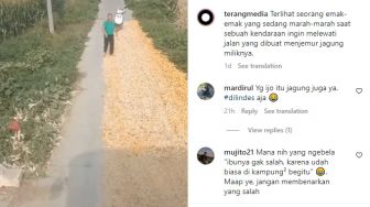 Viral Emak-emak Marahi Sopir Truk, Gara-gara Akan Lewati Jagung yang Dijemur di Jalan