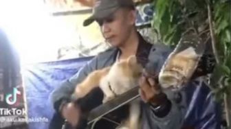 Bikin Gemes! Kucing Ikut Mengamen, Santai Duduk di Gitar Pria yang Bernyanyi