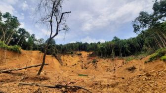 Musibah Longsor di Pertambangan Emas Tanpa Izin, Bupati Bengkayang: Cerita Demi Sesuap Nasi