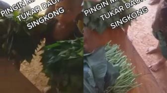 Dua Bocah Keliling Tukarkan Daun Singkong Demi Bisa Makan Mie Instan, Warganet Beri Pujian Sosok Ini