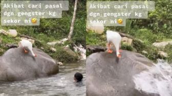 Nekat Isengin Angsa Minum di Sungai, Pria Ini Dapat Balasan Setimpal: Kapok!