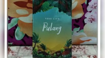 Ulasan Novel Pulang Karya Tere Liye: Perjalanan Pulang Melalui Pertarungan Demi Pertarungan