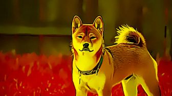 Bagaimana Shibarium Mampu Menentukan Gerak Harga SHIB?