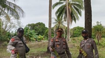 Operasi Sageru di Okaba Merauke, Polisi Amankan 17 Mayang Kelapa