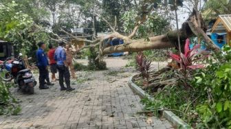 Dihantam Puting Beliung Pohon Tumbang di Solear Tangerang Timpa Belasan Rumah