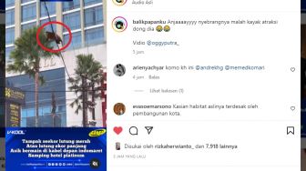 Seekor Lutung Merah Asik Bermain di Kabel Depan Hotel Platinum Balikpapan, Warganet Singgung Pembangunan Kota: Kasian