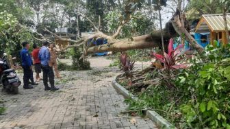 Hantaman Puting Beliung di Solear Sisakan Duka