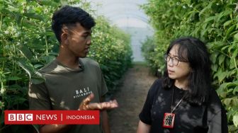 Pekerja Migran RI di Inggris: Pendapatan Besar, Tapi Biaya ke Agen Tinggi