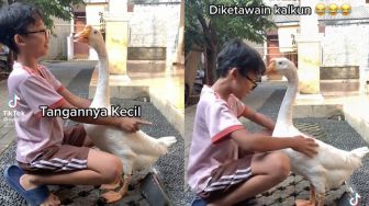 Takjub Banget! Viral Seorang Bocah Akrab dengan Soang, Netizen: Melawan Hukum Alam