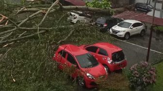 Pohon Tumbang Timpa 3 Mobil yang Parkir di RSUP Adam Malik