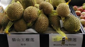 Durian Musang King dan Black Thorn Jadi Komoditas Baru Andalan Sulsel